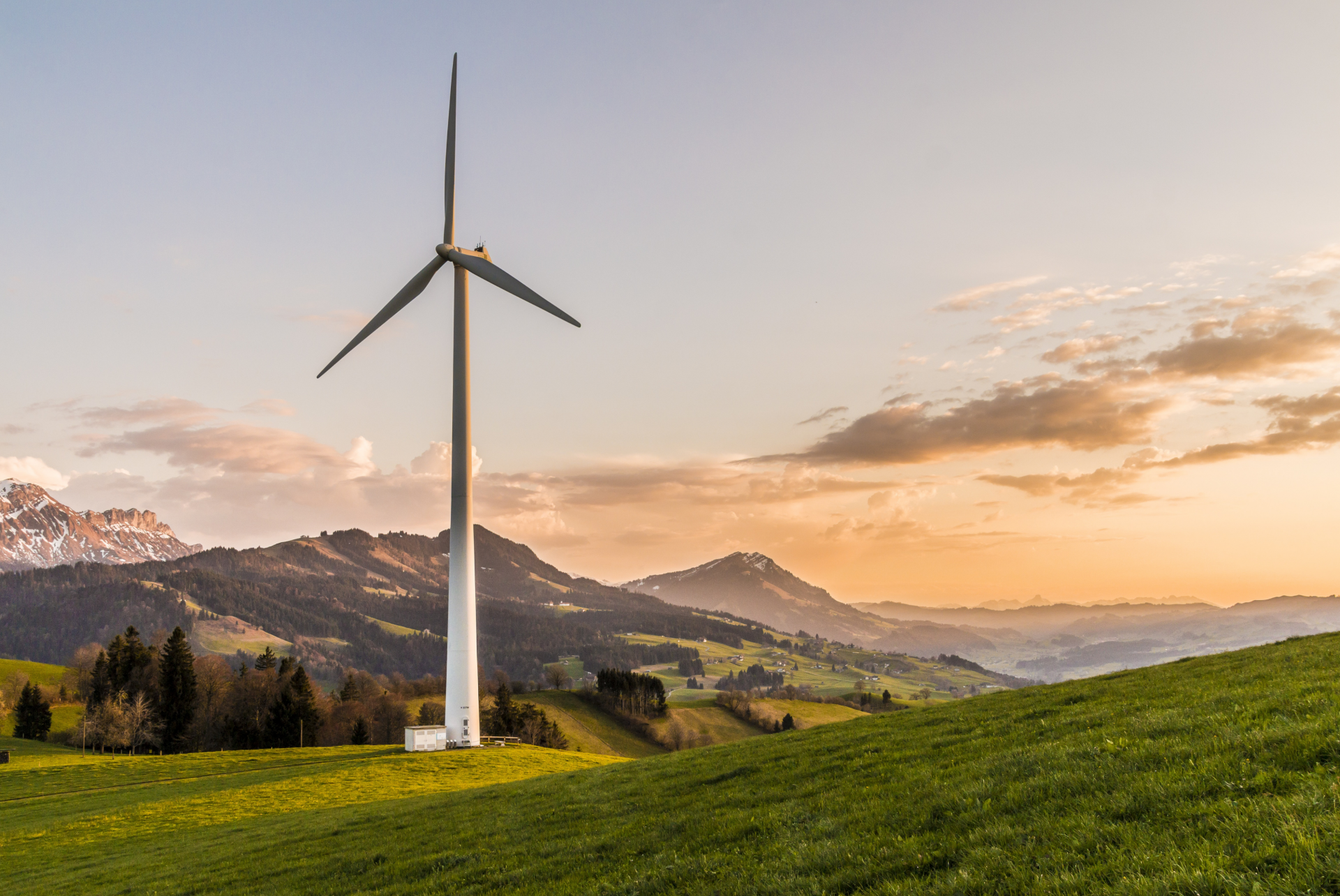 A wind turbine in a field