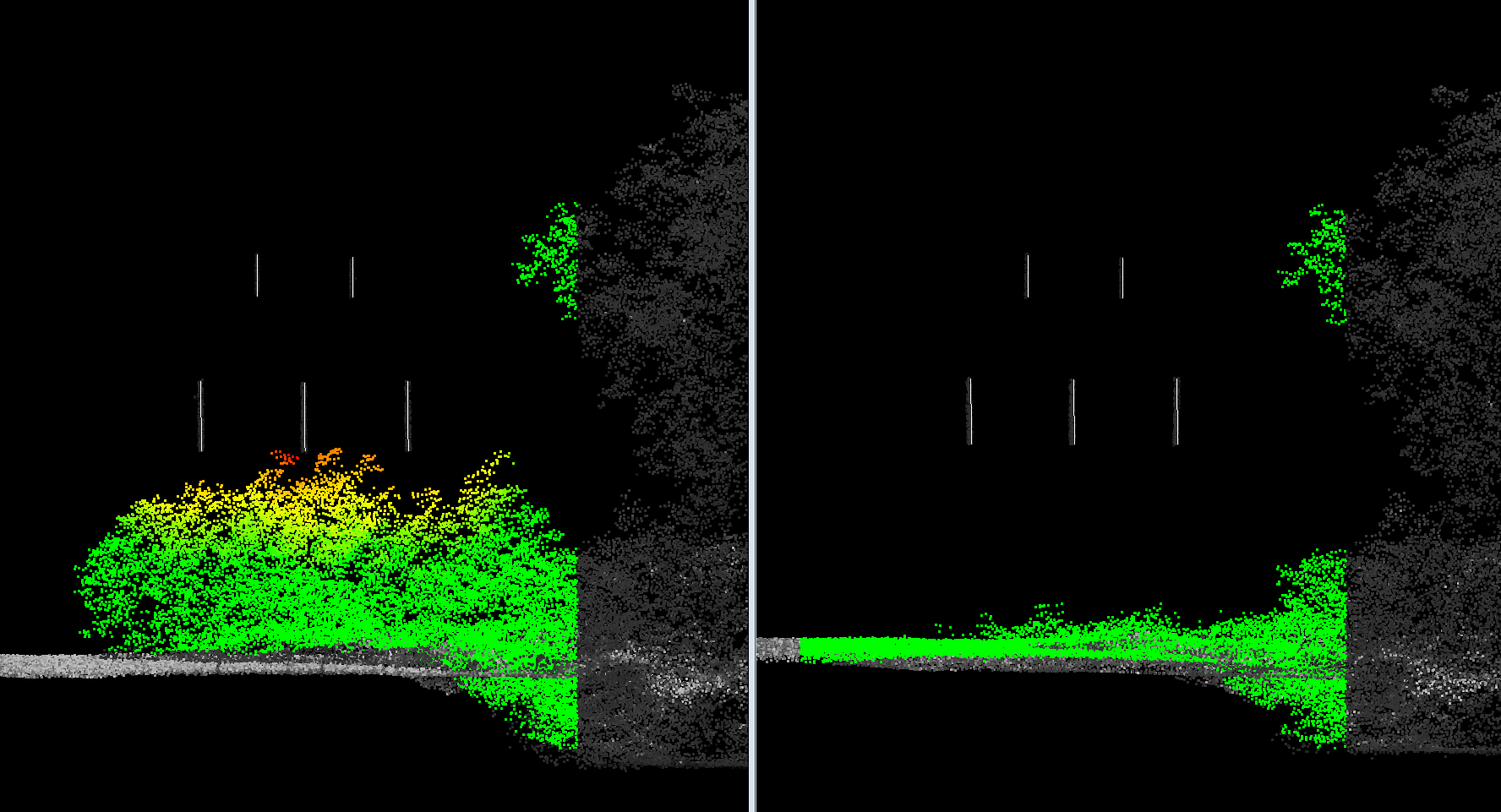 Cleared_Vegetation_Side_View