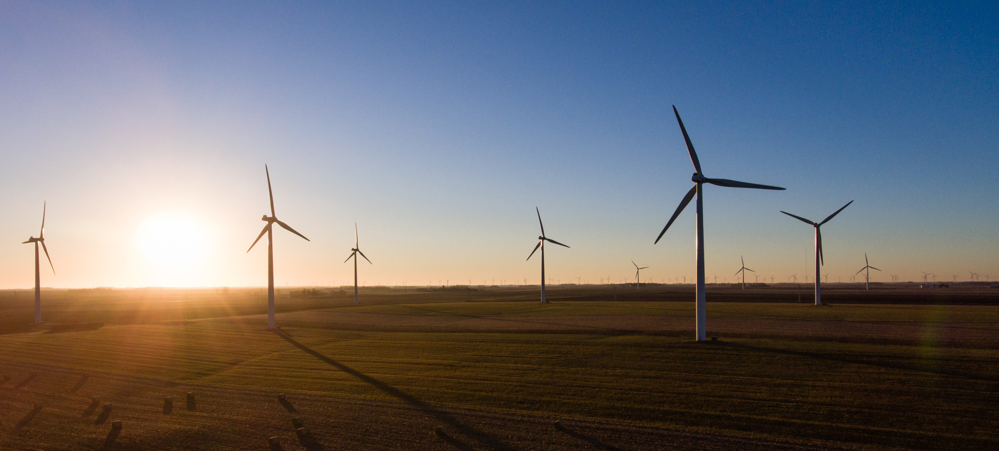 wind farm