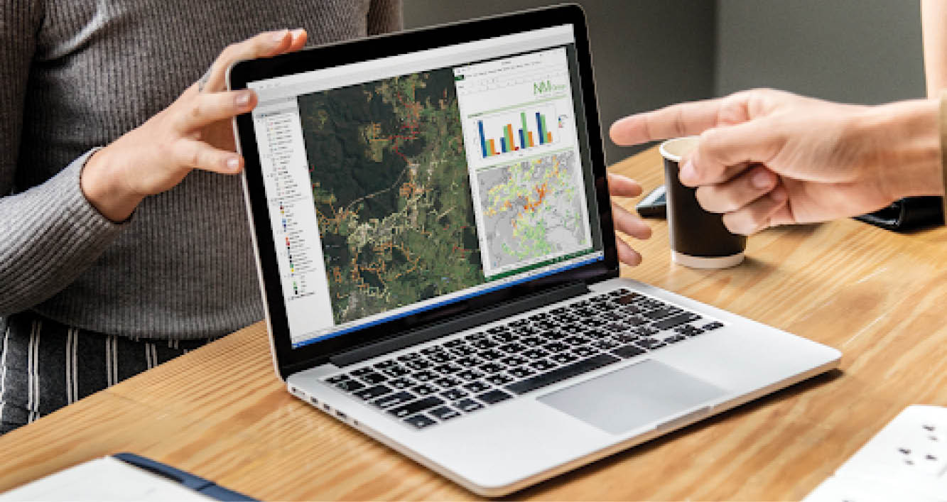 Vegetation Analytics article-L1_UK