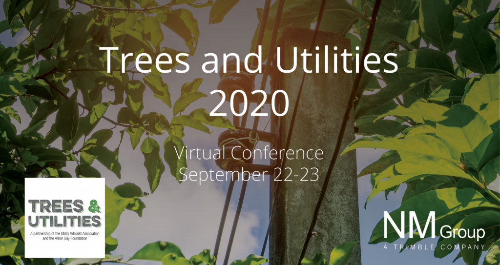 Trees and Utilities Virtual Conference 2020 NM Group